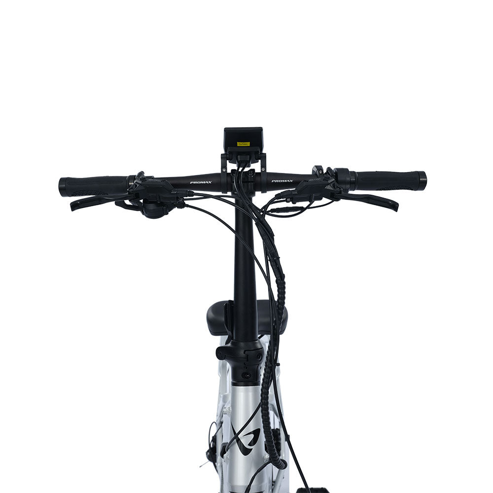 ViaCarrier Utility Cargo Electric Bike
